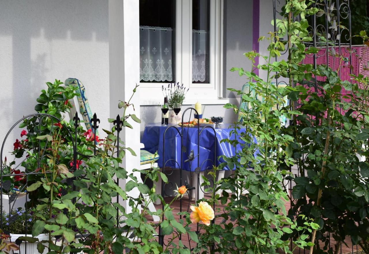 Dietrichingen Ferienwohnung Jakobsweg מראה חיצוני תמונה